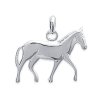 Pendentif argent massif 925