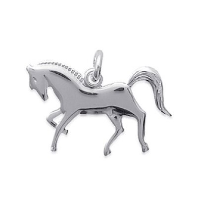 Pendentif argent massif 925 rhodié