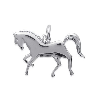 Pendentif argent massif 925